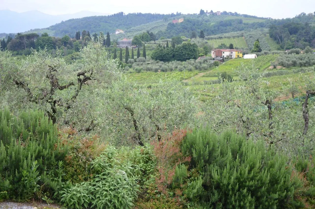 Villa Casal Di Mammoli Hotel Lucca Italy